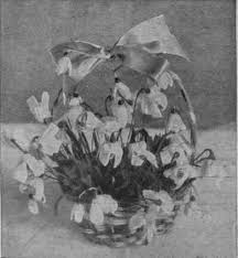 in a basket