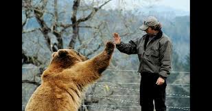 casey anderson bear pictures