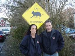 cat crossing sign
