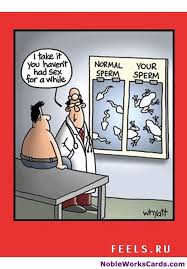 funny cartoons pictures