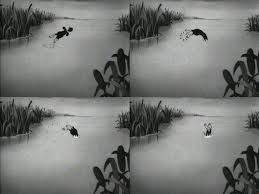 crazy duck hunter