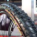 maxxlite