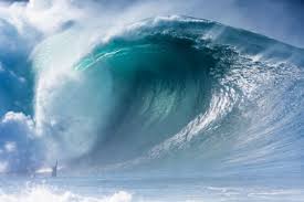 surf brazil