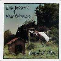Edie Brickell - Ghost Of A Dog