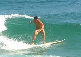 Surf Animal - DesLhama Praia_do_Surf_em_Morro_de_S%C3%A3o_Paulo