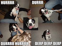 my story for today... DerpDurrDog