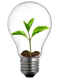 eco friendly lights