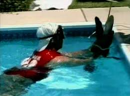 alligator pool