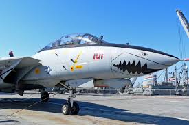 f 14 tomcat