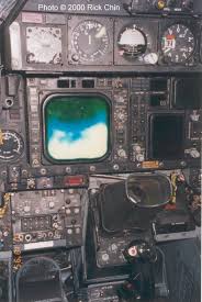 wild weasel