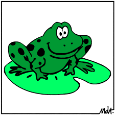 frogs and lily pads