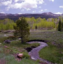 meandering path