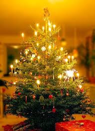sapin de noel