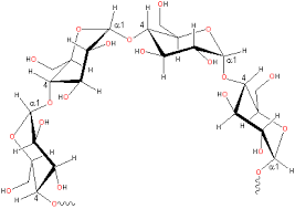 structure of starch