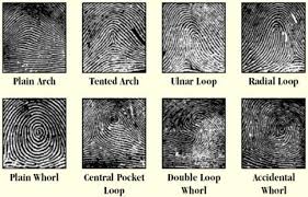 types fingerprints