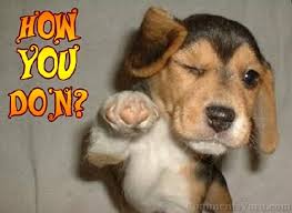 are you