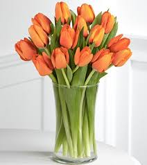 orange tulip bouquet