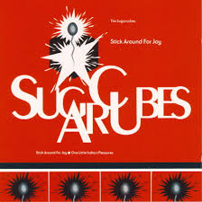 Bjork - Stick Around For Joy