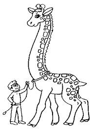 giraffe coloring