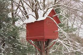 treehouses for kids