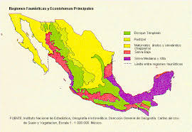 fauna de mexico