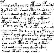 Manuscrisul Voynich