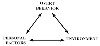 social cognition
