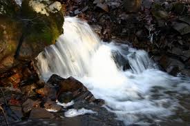 contaminantes del agua