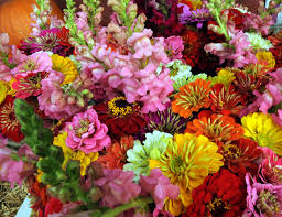 cut flower