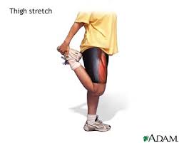 thigh