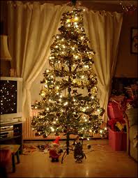 christmas trees with lights