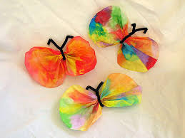 butterfly projects