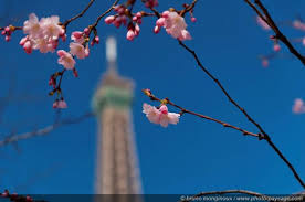urban nature photography