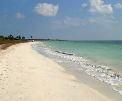florida pics