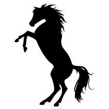 cheval cabre