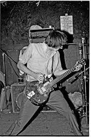 ampeg dan armstrong lucite