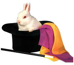 the magic rabbit