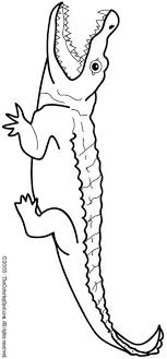 accident printables for pre-k
