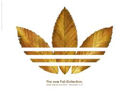 adidas icon