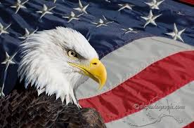bald eagle flag