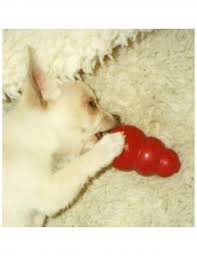 kong stuffing
