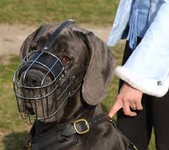 dog basket muzzles