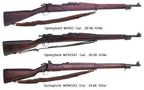 30 06 rifle