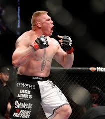 ufc mma