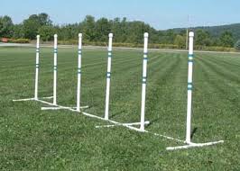 dog weave poles