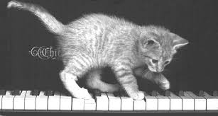 cats piano