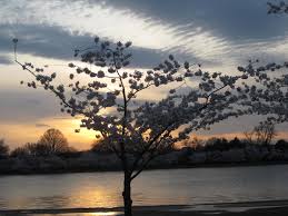 Προβολή εικόνας πλήρους μεγέθους