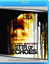 stir of echoes