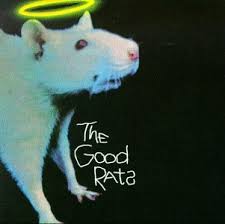 good rat