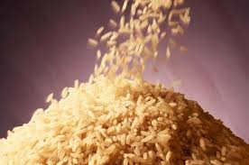 basmati rice india